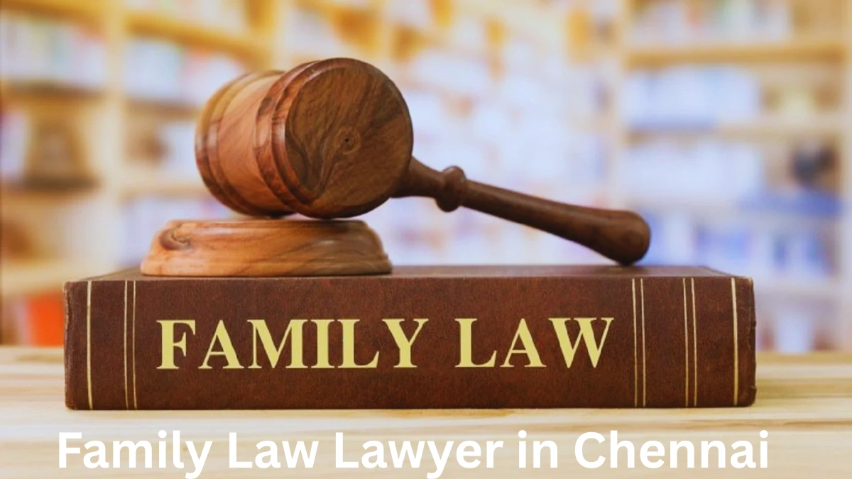 Family Law Lawyer in Chennai | Expert Divorce & Custody Lawyer
