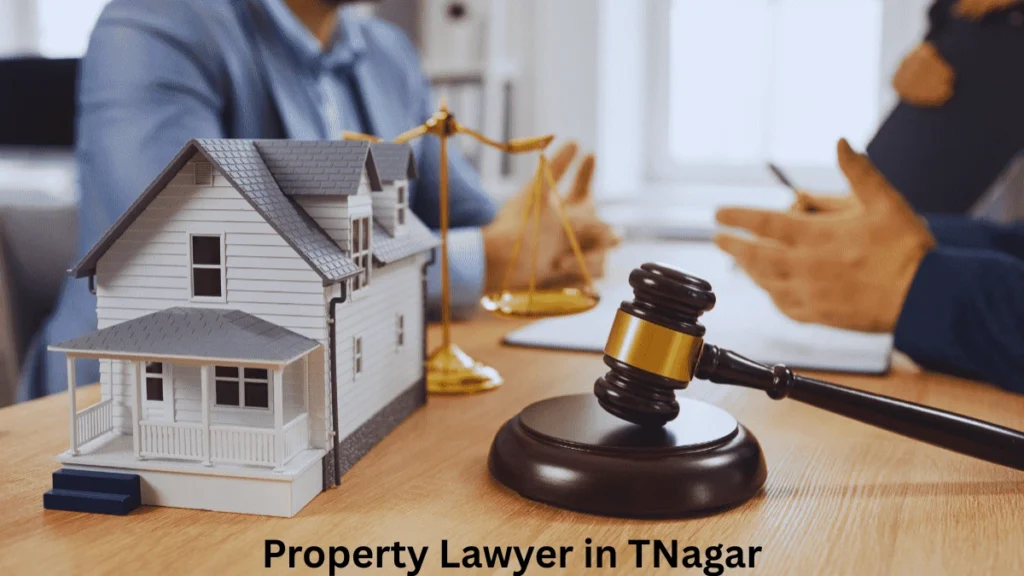 Property Lawyer in TNagar