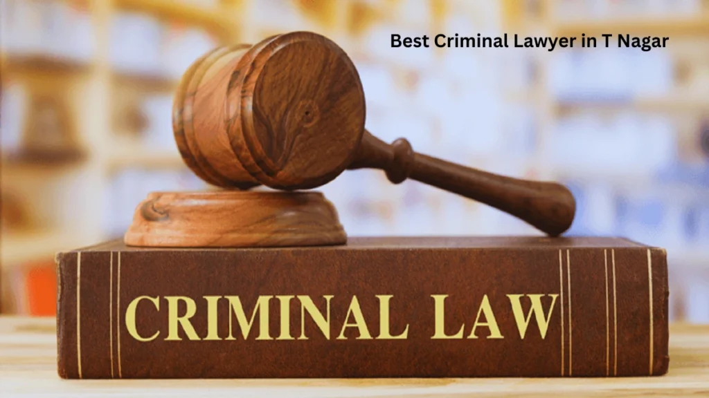 Best Criminal Lawyer in T Nagar
